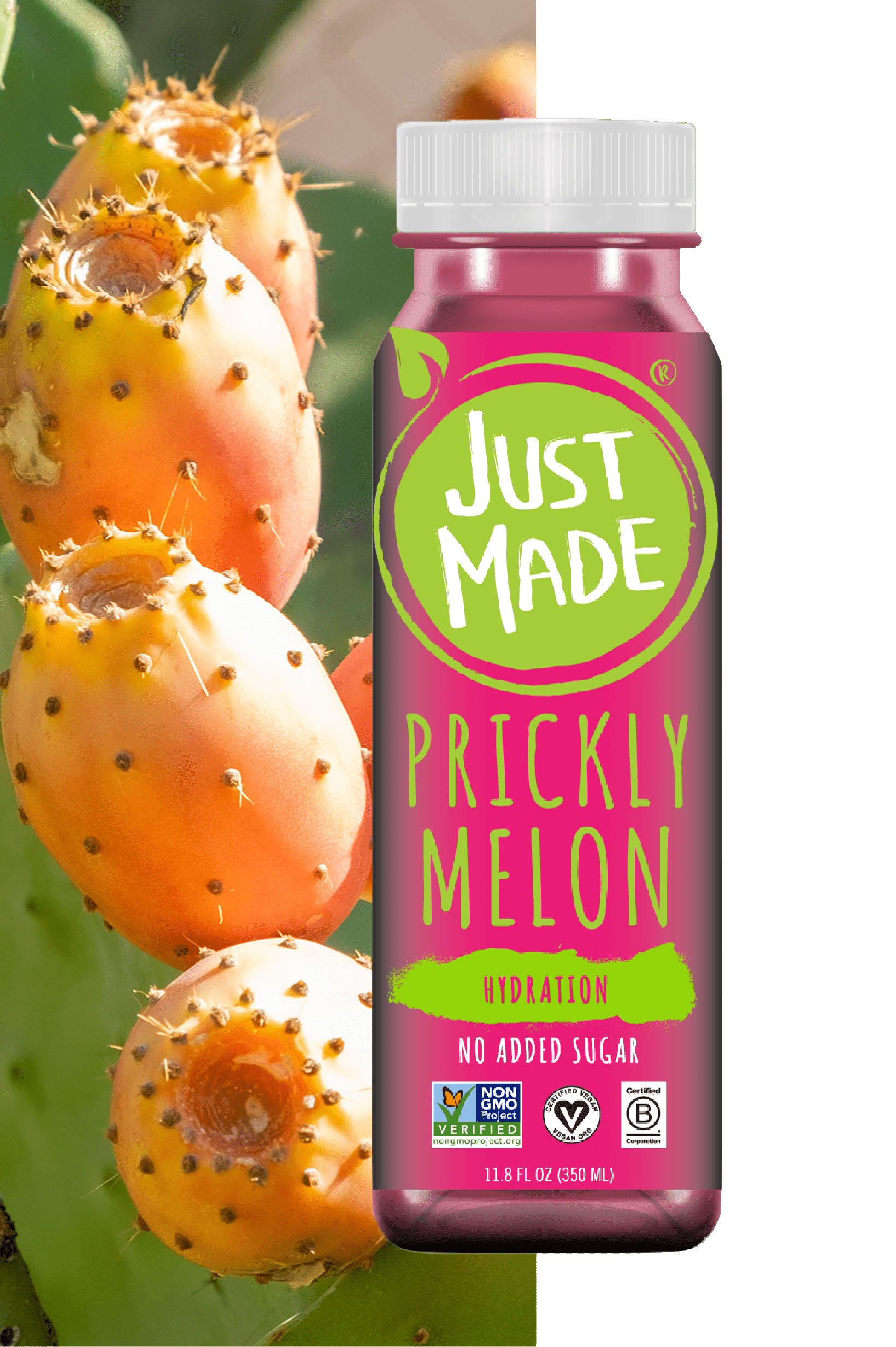 Prickly Melon product 150